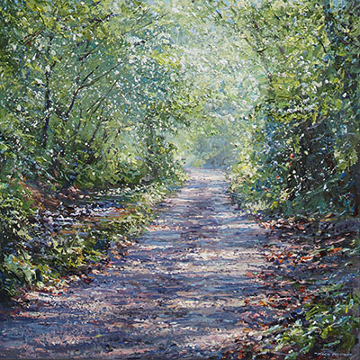 Dappled Light, Taylor's Lane